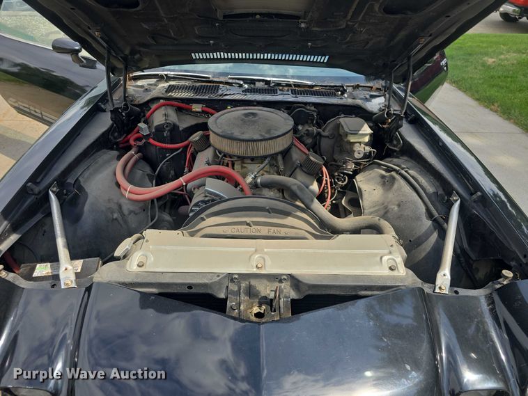 image for item EF3562 1981 Chevrolet Camaro 