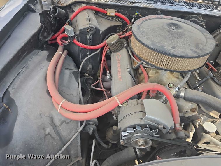 image for item EF3562 1981 Chevrolet Camaro 