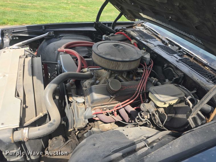 image for item EF3562 1981 Chevrolet Camaro 