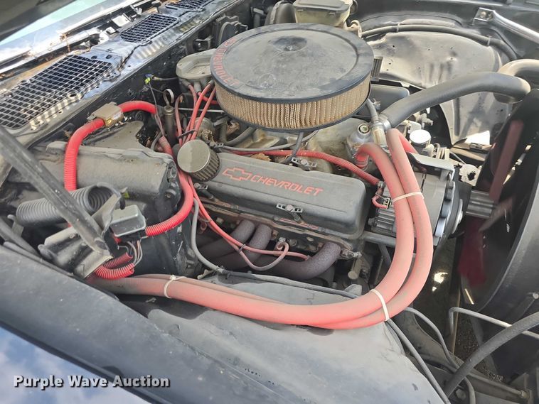 image for item EF3562 1981 Chevrolet Camaro 