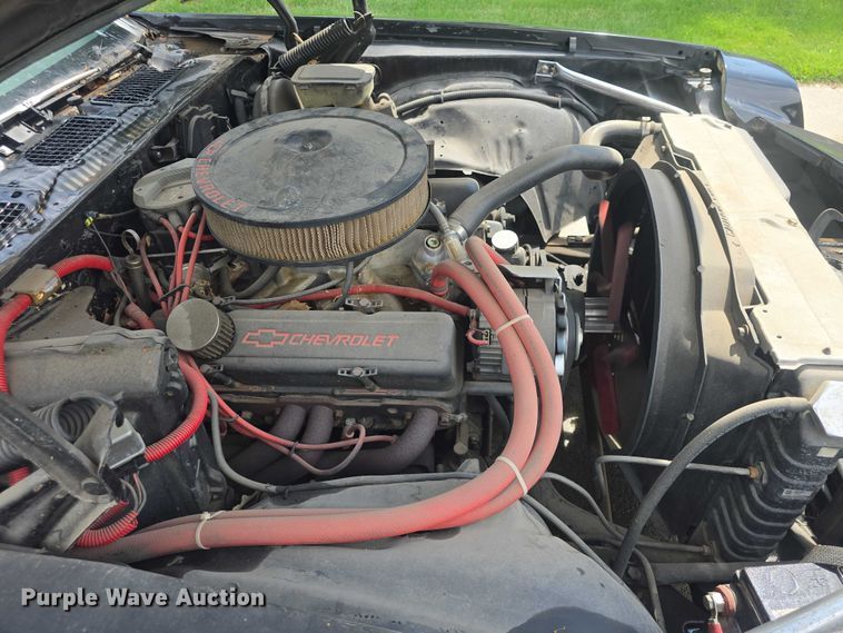 image for item EF3562 1981 Chevrolet Camaro 