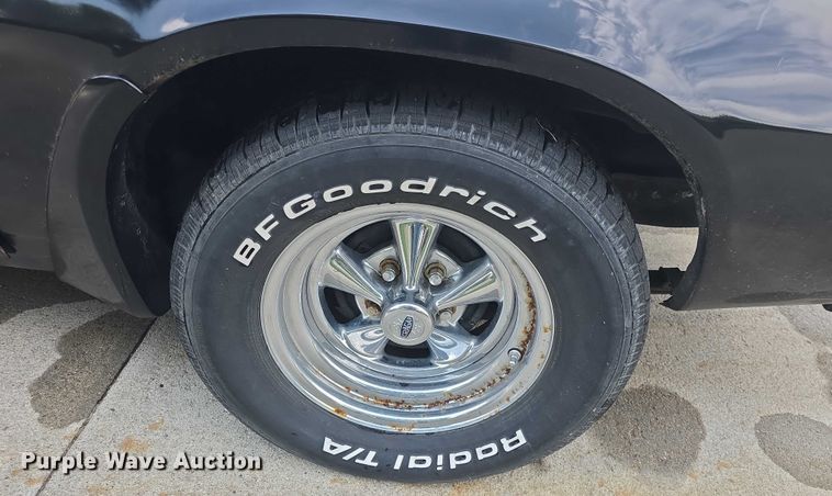 image for item EF3562 1981 Chevrolet Camaro 