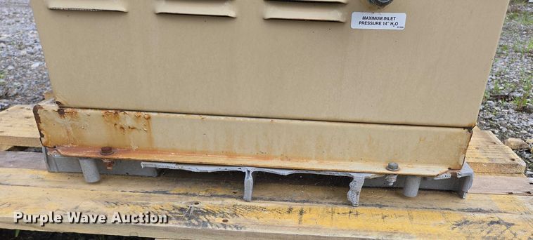 image for item EN3871 Generac Gaurdian generator