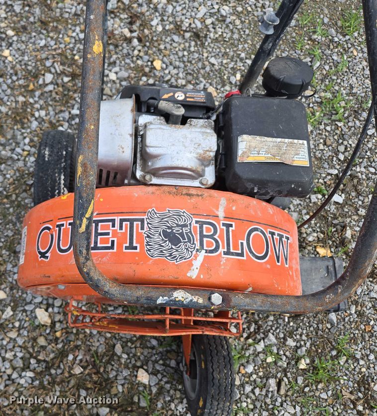 image for item EN3875 (2) Billy Goat blowers