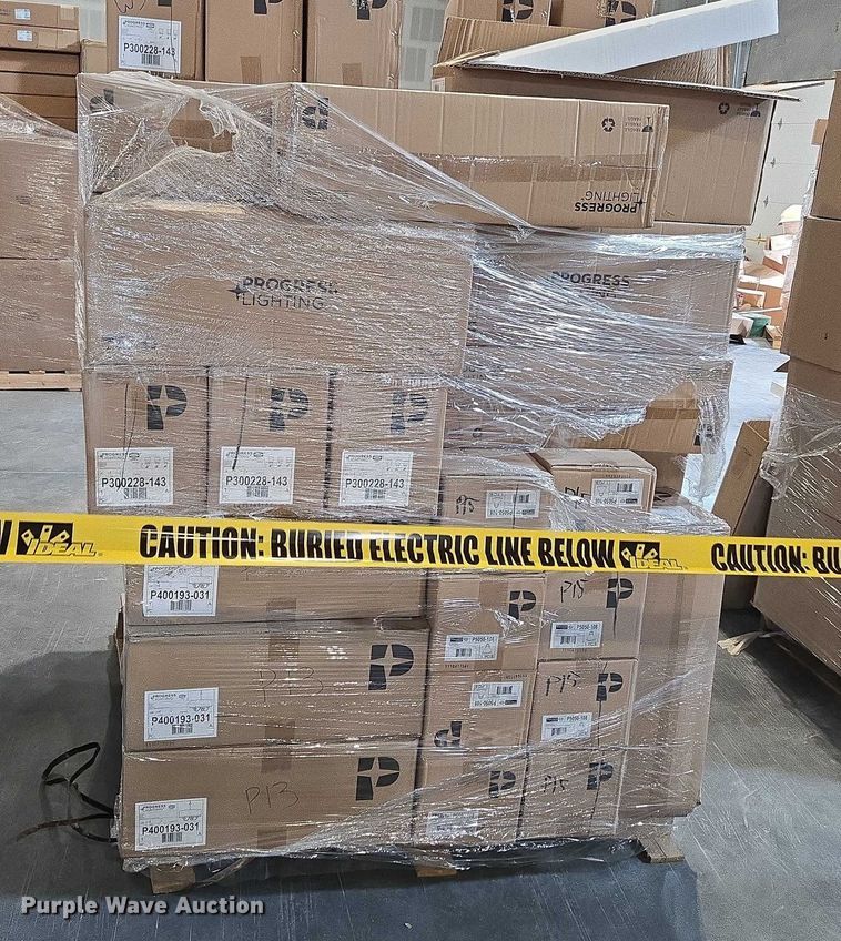 image for item EN3881 Approximately 29 pallets of lighting fixtures