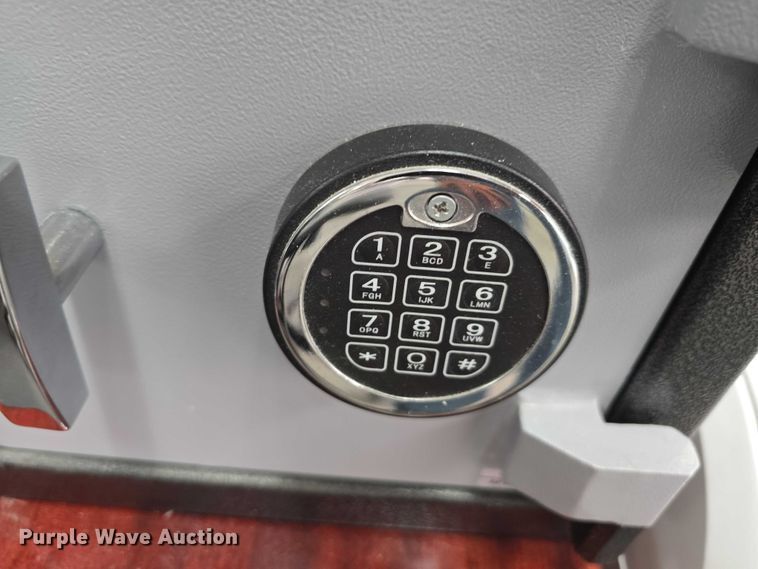 image for item EO1092 (2) safes