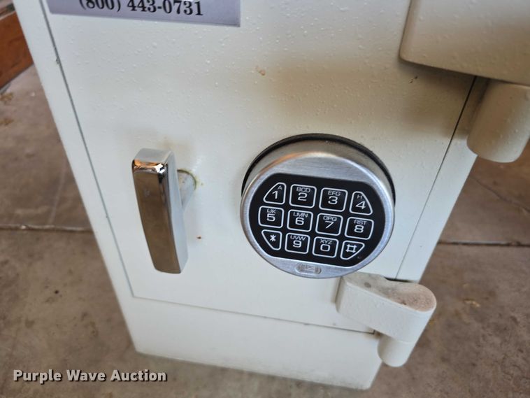 image for item EO1092 (2) safes