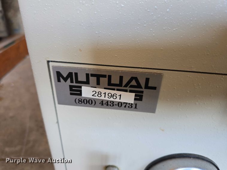 image for item EO1092 (2) safes