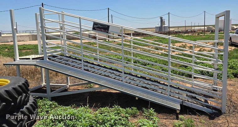 image for item DT4937 Livestock loading chute