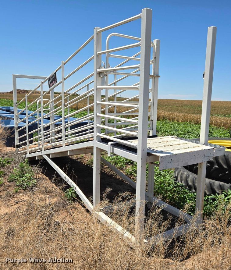 image for item DT4937 Livestock loading chute
