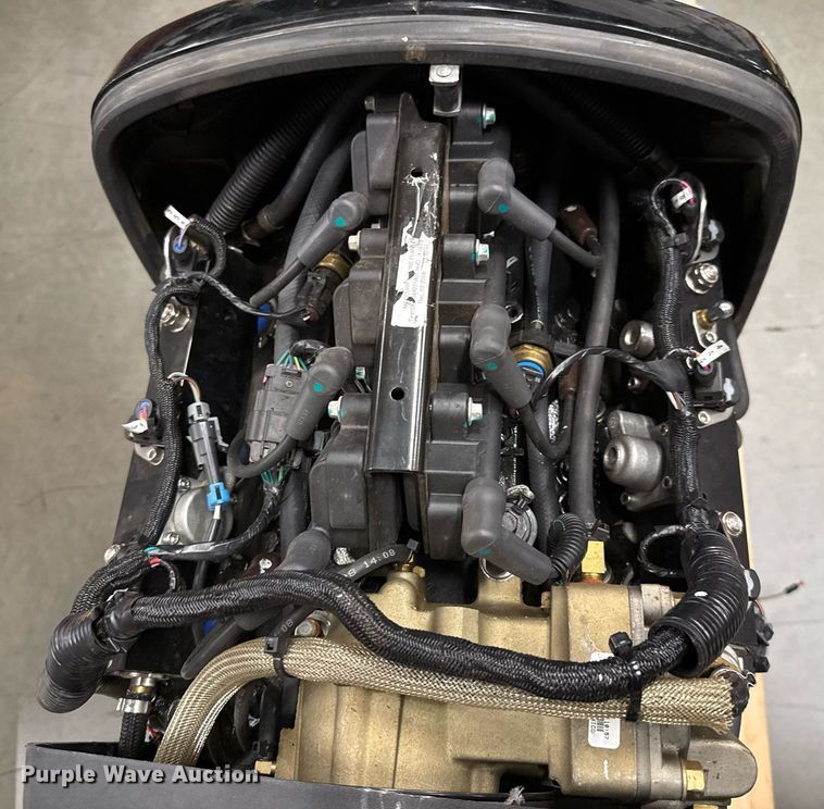 image for item DT6648 2009 Mercury Optimax outboard engine