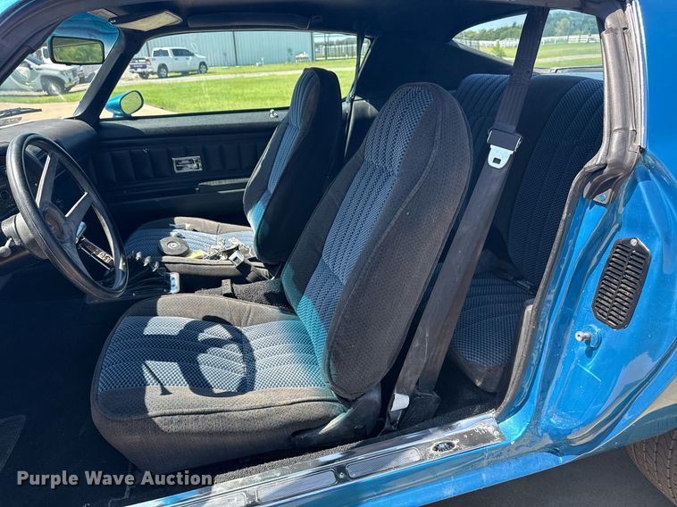 image for item DS3810 1973 Chevrolet Camaro 