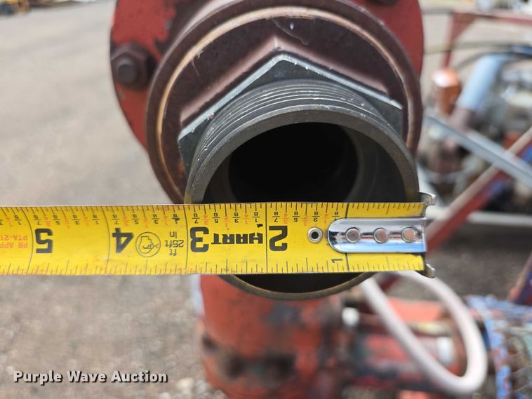 image for item DT6997 (2) pumps