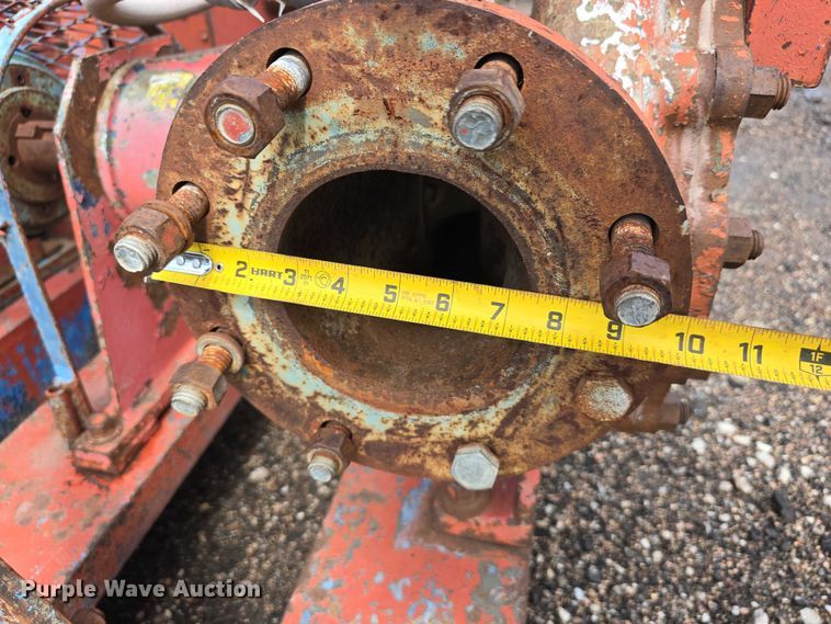 image for item DT6997 (2) pumps