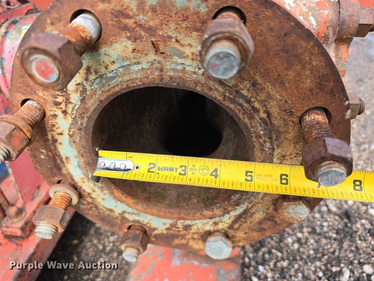 image for item DT6997 (2) pumps