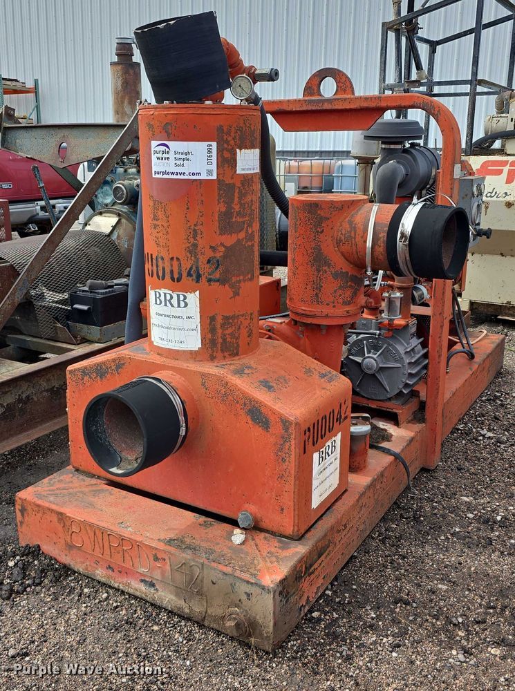 image for item DT6999 (2) Griffin pumps