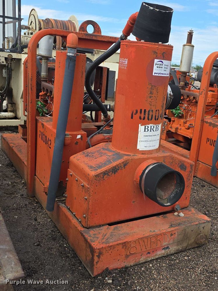 image for item DT6999 (2) Griffin pumps