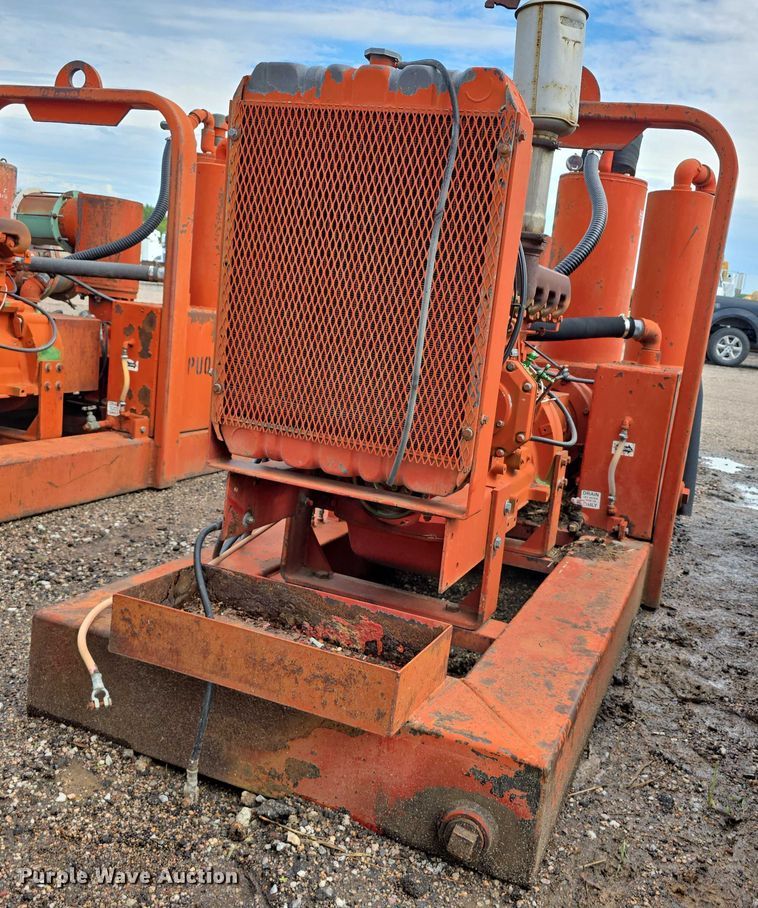 image for item DT6999 (2) Griffin pumps