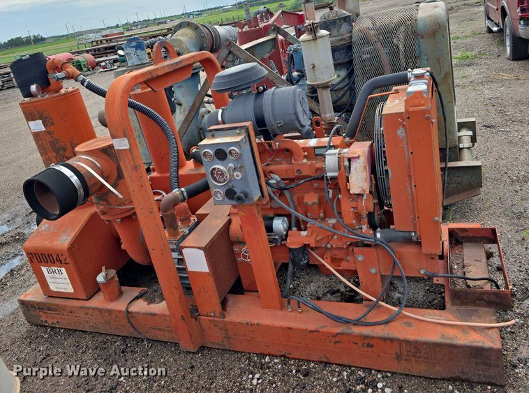 image for item DT6999 (2) Griffin pumps