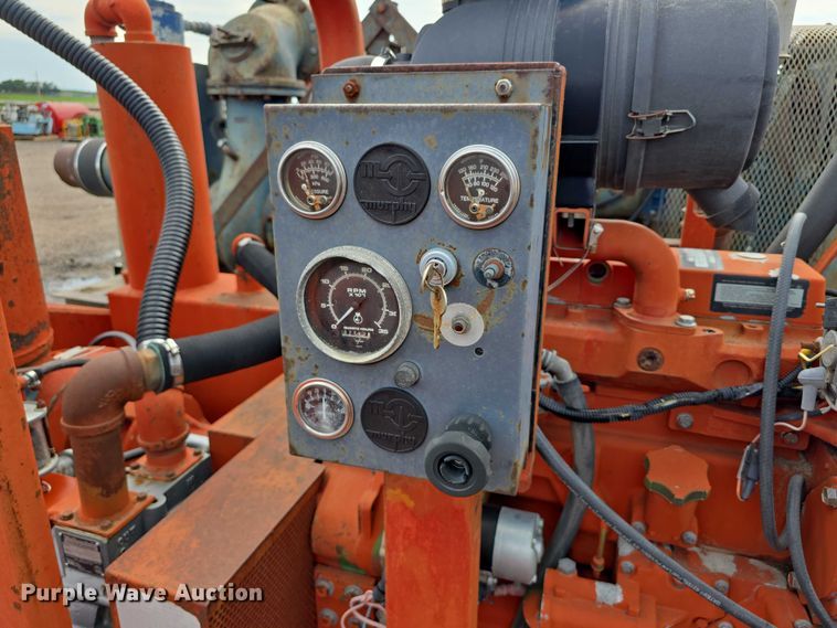 image for item DT6999 (2) Griffin pumps