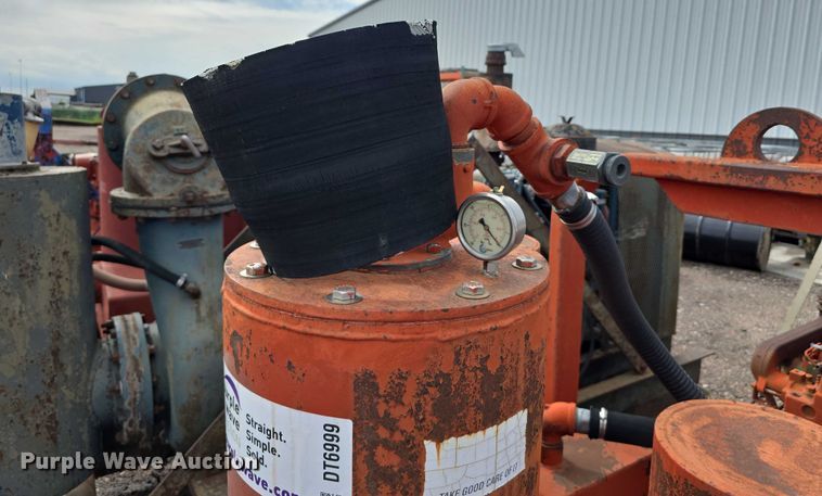 image for item DT6999 (2) Griffin pumps