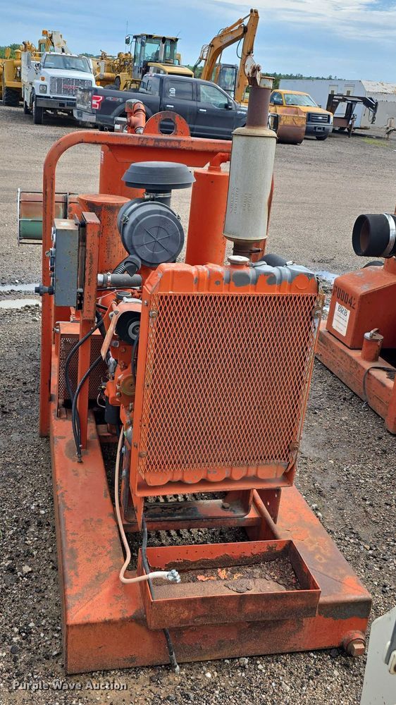 image for item DT6999 (2) Griffin pumps