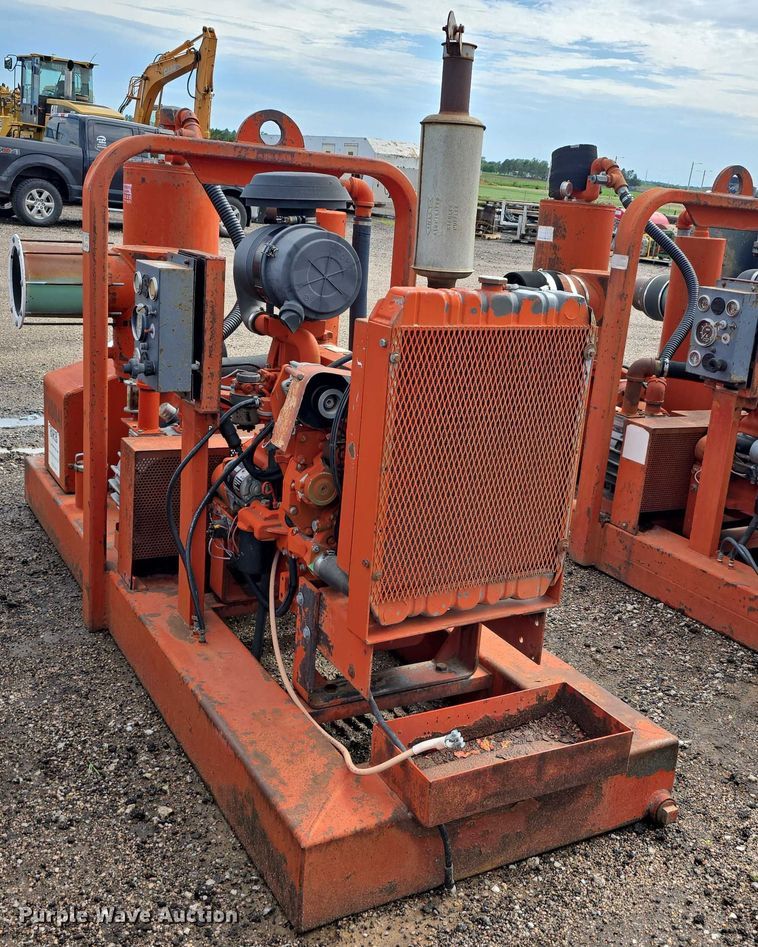 image for item DT6999 (2) Griffin pumps