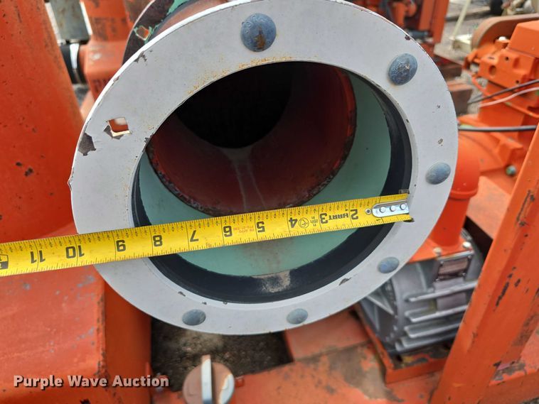 image for item DT6999 (2) Griffin pumps