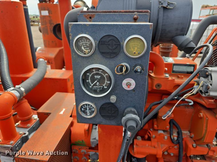 image for item DT6999 (2) Griffin pumps