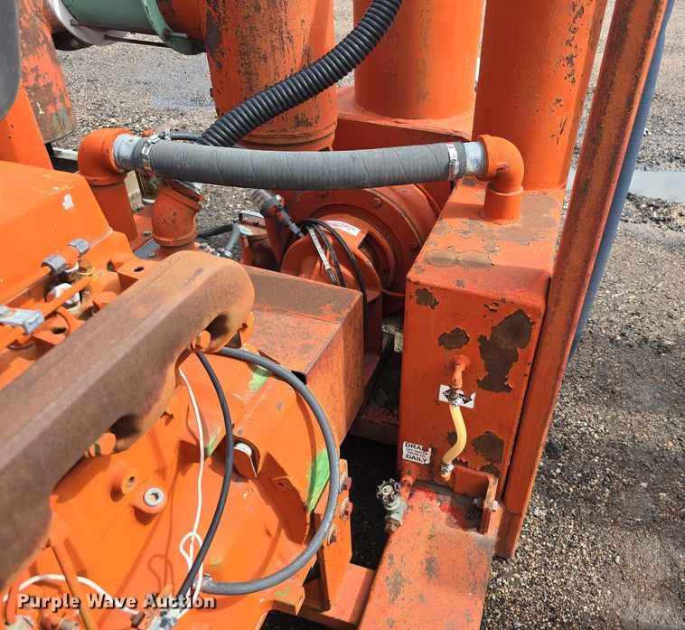 image for item DT6999 (2) Griffin pumps