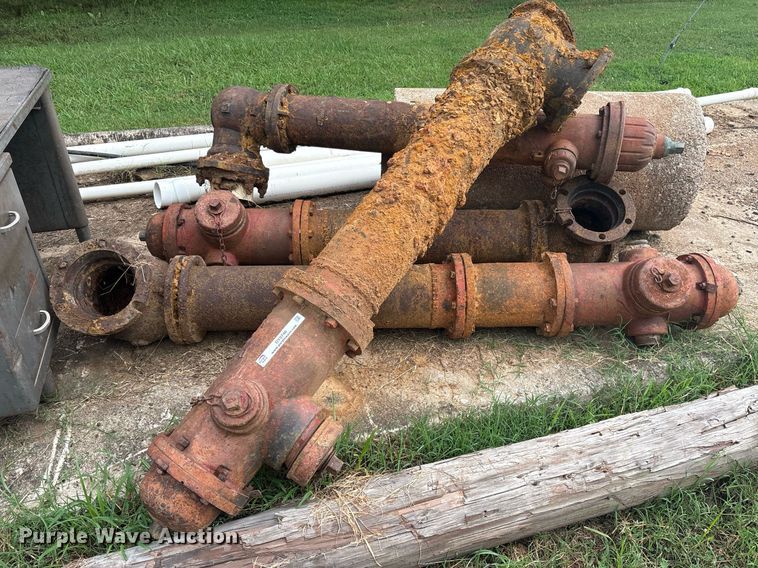 image for item DY0746 (4) fire hydrants