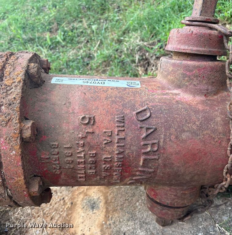 image for item DY0746 (4) fire hydrants