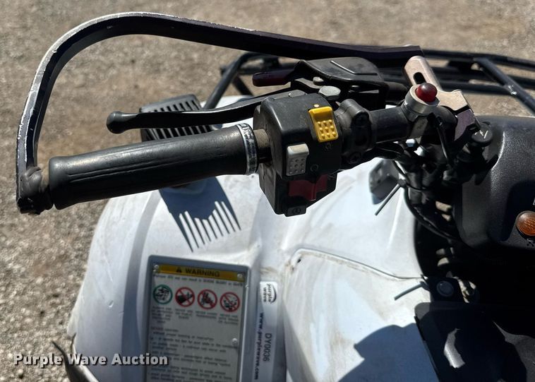 image for item DY0036 2018 Honda TRX250  ATV