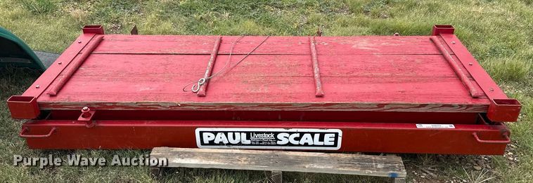 image for item DZ8703 Paul livestock scale