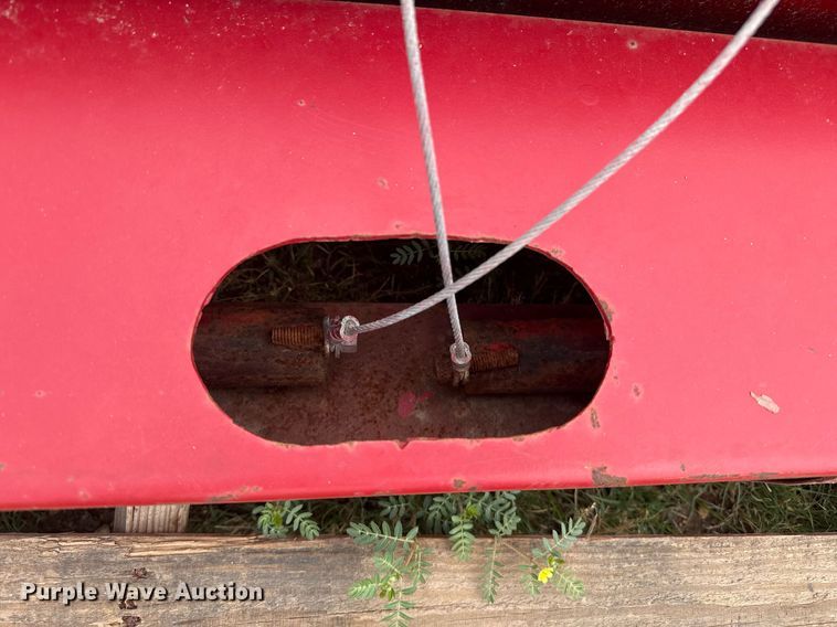 image for item DZ8703 Paul livestock scale