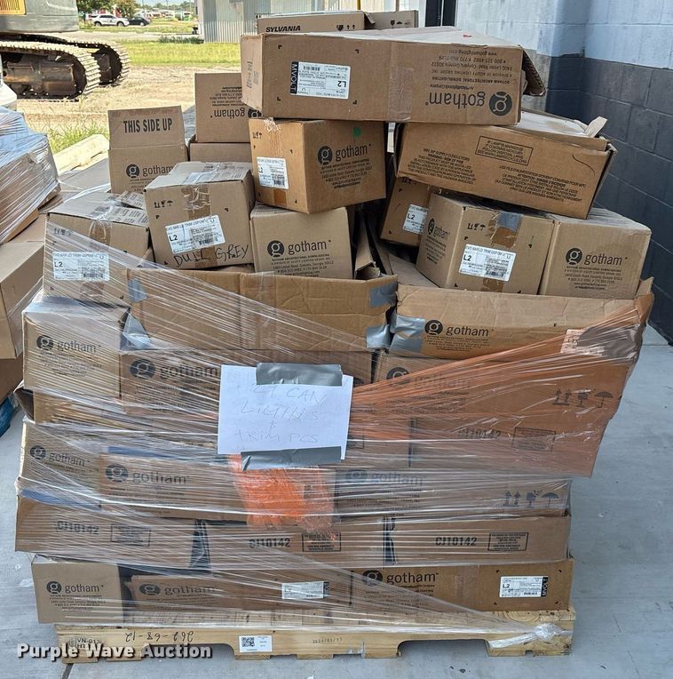 image for item DX8042 Light fixtures