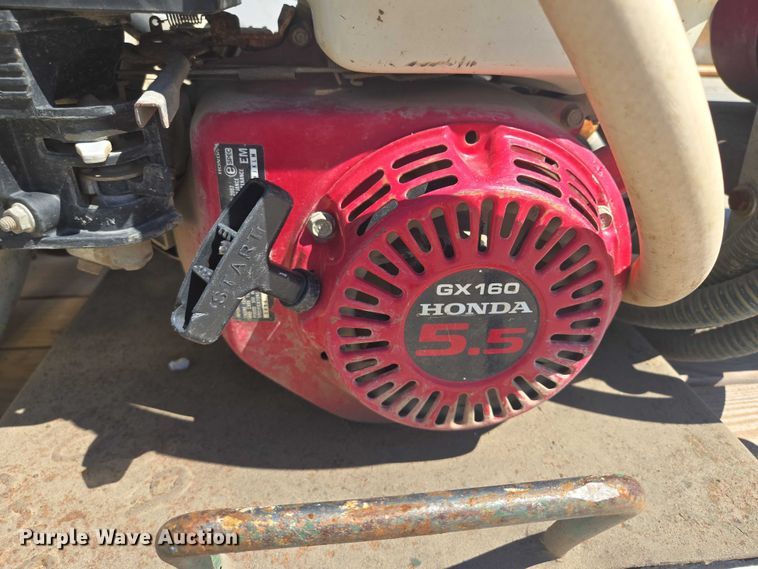 image for item EF1696 (5) pumps