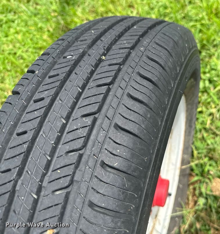 image for item DU9301 Tonutti hay rake