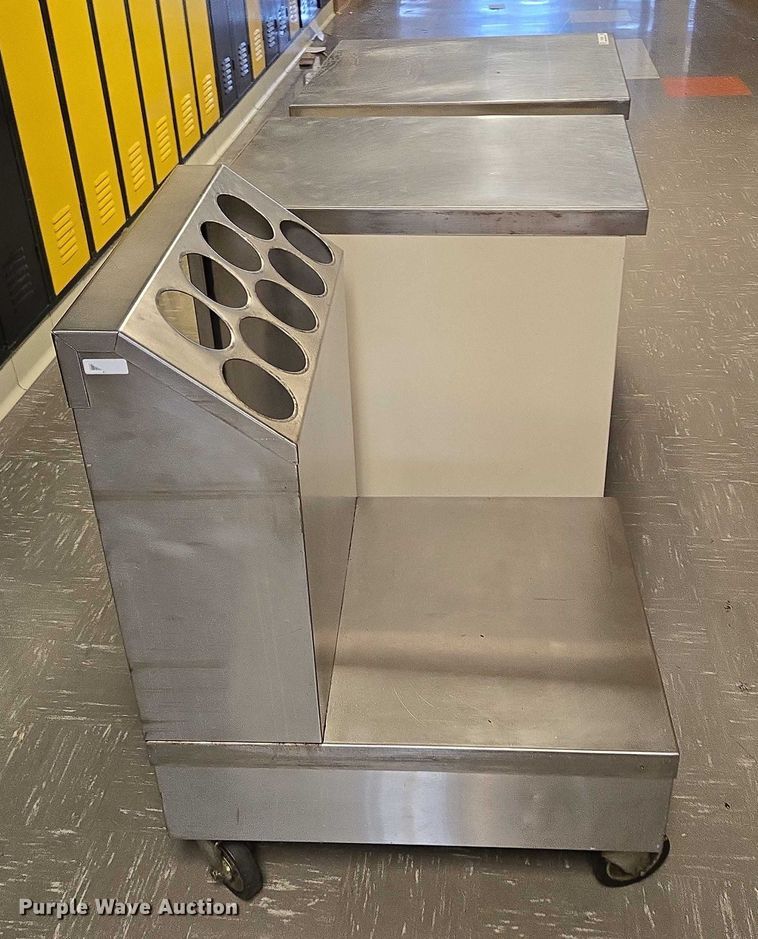 image for item DY1035 (3) stainless steel carts