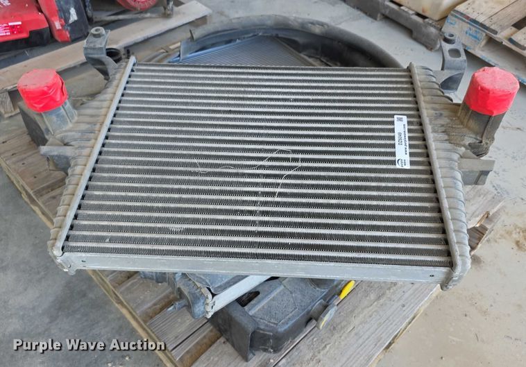 image for item DZ6049 (3) radiators