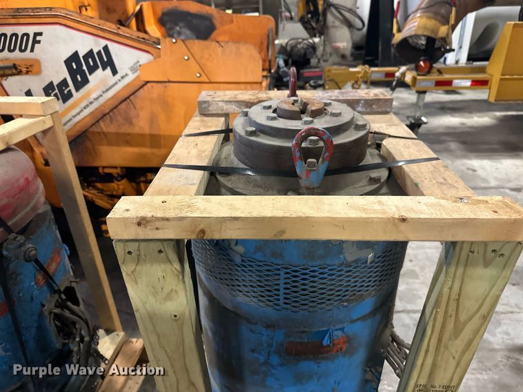 image for item EB2789 (7) pumps