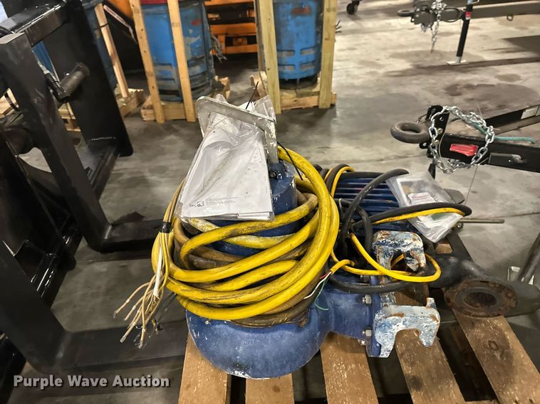 image for item EB2789 (7) pumps