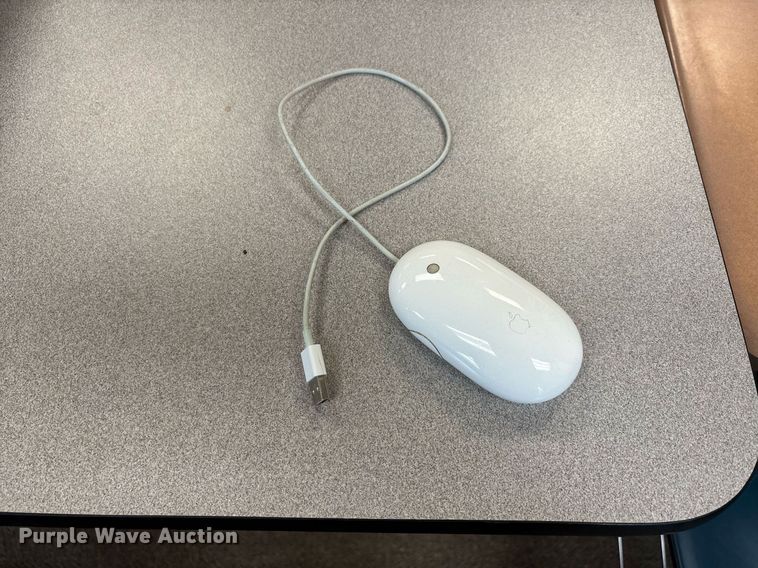 image for item EJ7608 Approximately (19) Apple 24