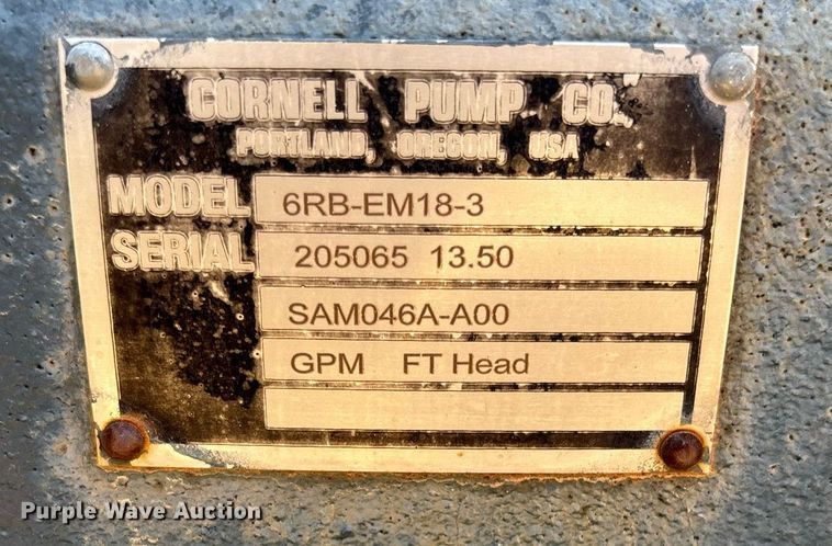 image for item EC1078 Cornell 6RB-EM18-3 pump