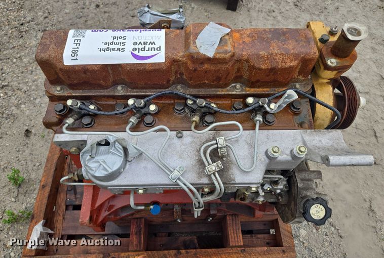 image for item EF1861 Ford 256 Engine