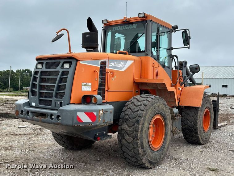 CARGADOR FRONTAL DOOSAN DL250TC5