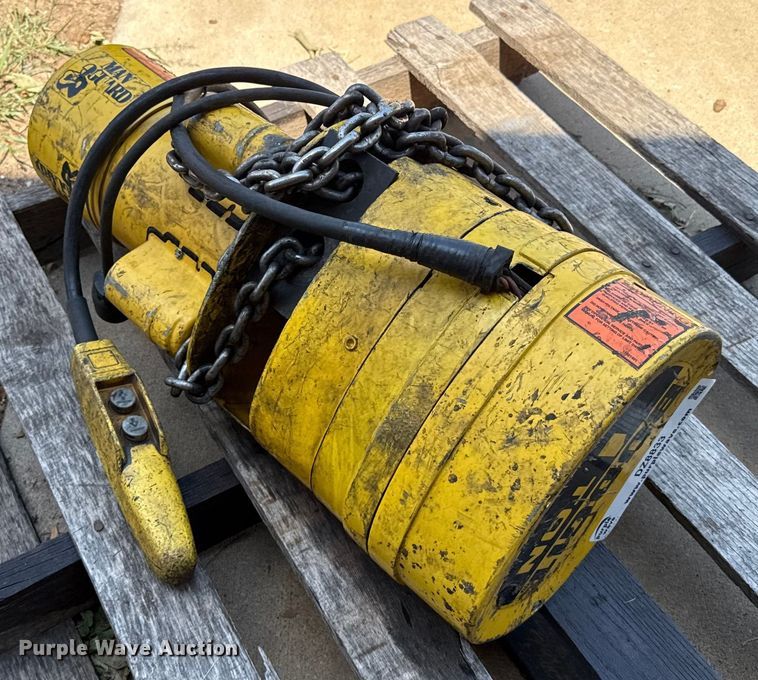 image for item DZ8833 Budgit electric hoist