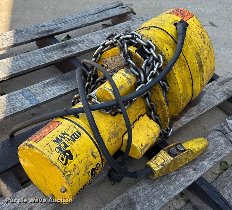 image for item DZ8833 Budgit electric hoist