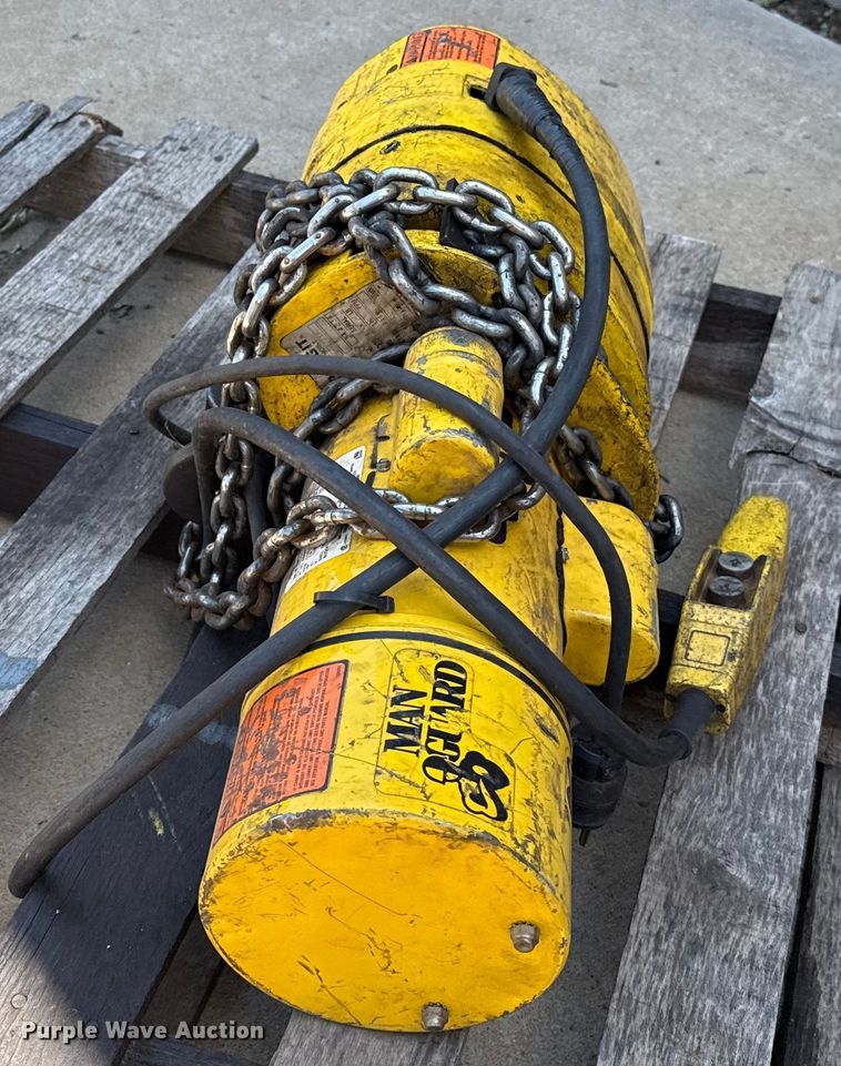 image for item DZ8833 Budgit electric hoist