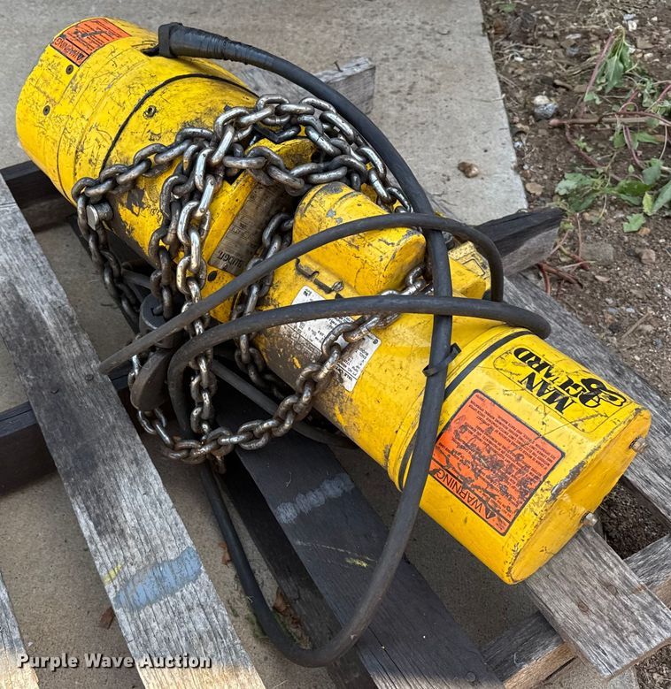 image for item DZ8833 Budgit electric hoist